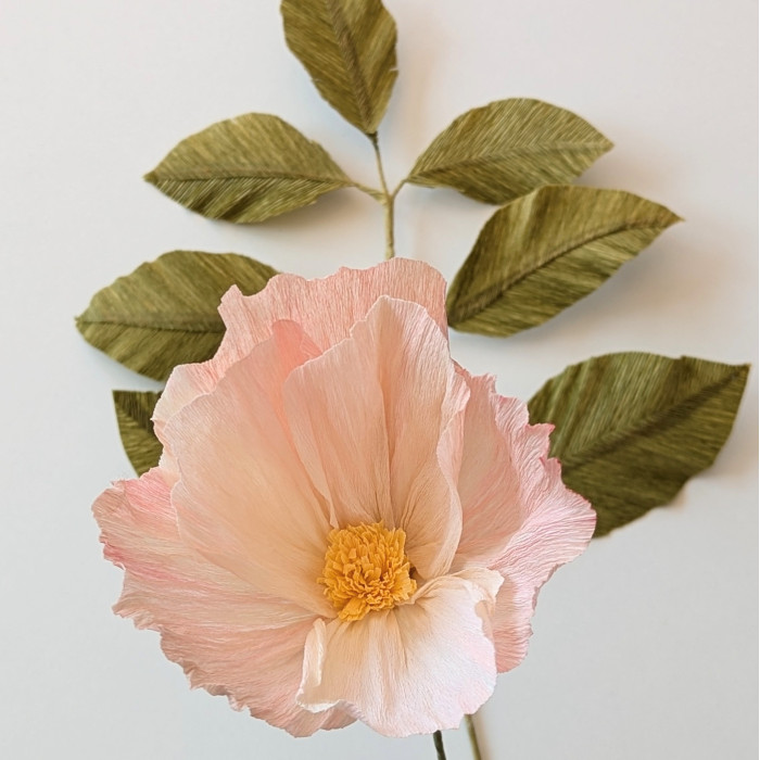 copy of Workshop dyeing and creating paper flowers and foliage Thursday August 29 at 2 p.m.