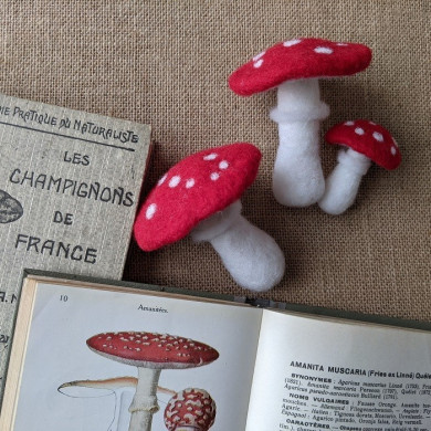 Atelier champignons feutrés - jeudi 24 octobre - 14h