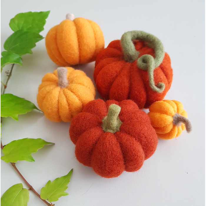 Pumpkin kit in carded wool