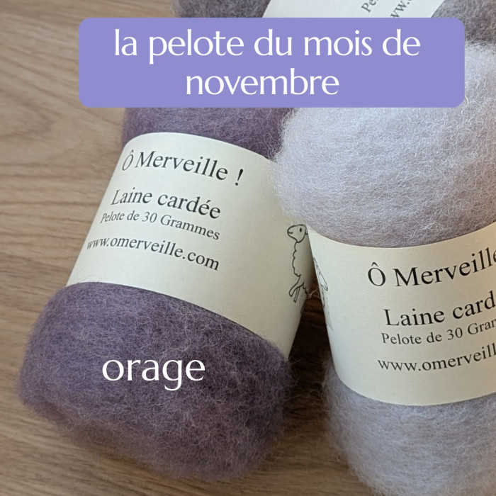 La pelote de laine cardée du mois de novembre : orage